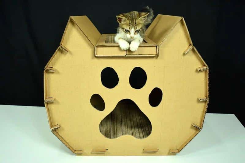 Cardboard Cat House With Scratcher1
