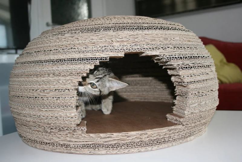 Cardboard Cat Igloo House