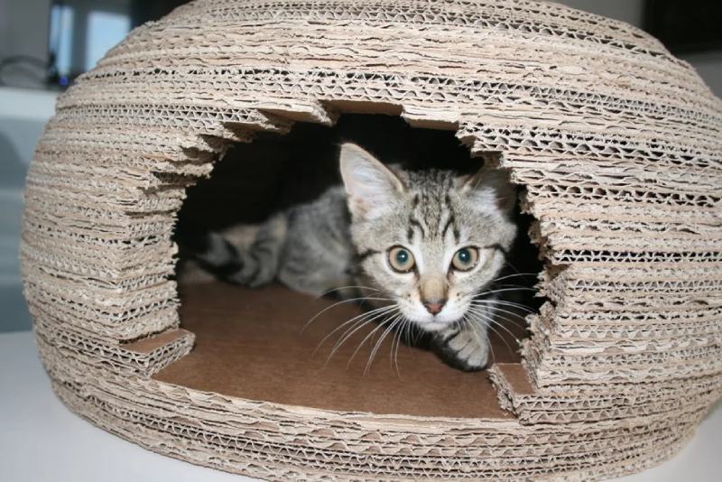 Cardboard Cat Igloo House1