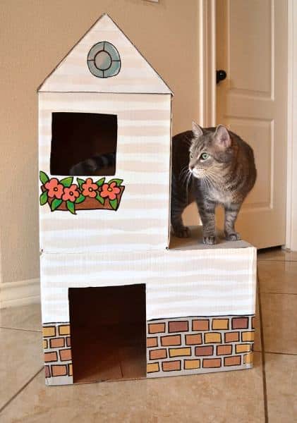 Cardboard Cat Mansion, or a Use for Amazon Prime Boxes