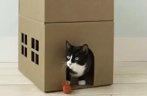Cardborad cat playhouse