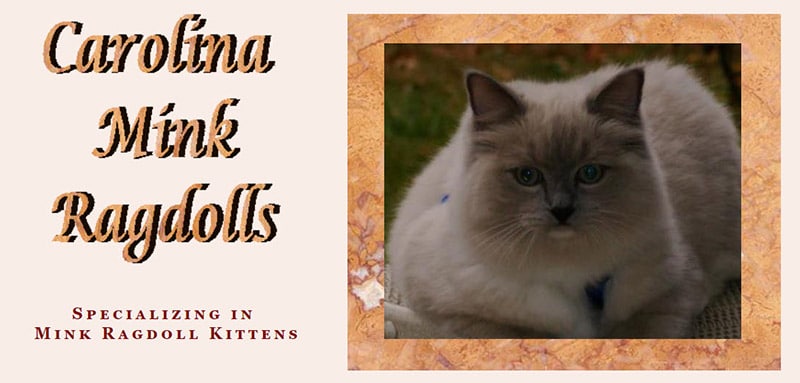 Carolina Mink Ragdolls logo