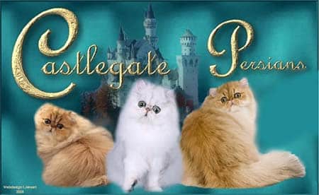 Castlegate Persians