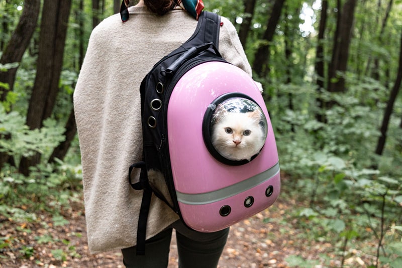 Cat Backpack