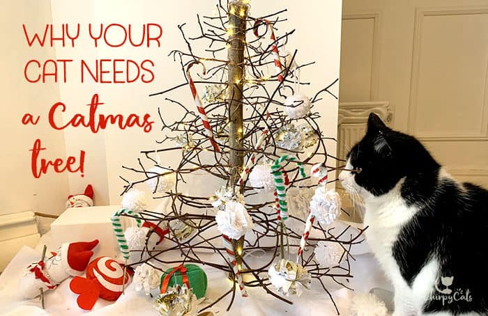Cat Christmas Tree by Chirpy Cats