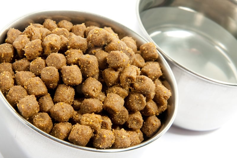 Cat Dog Pet Food