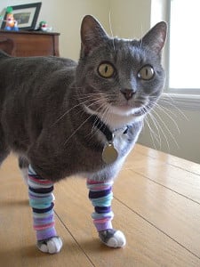 Cat Leg Warmers by all free sewing