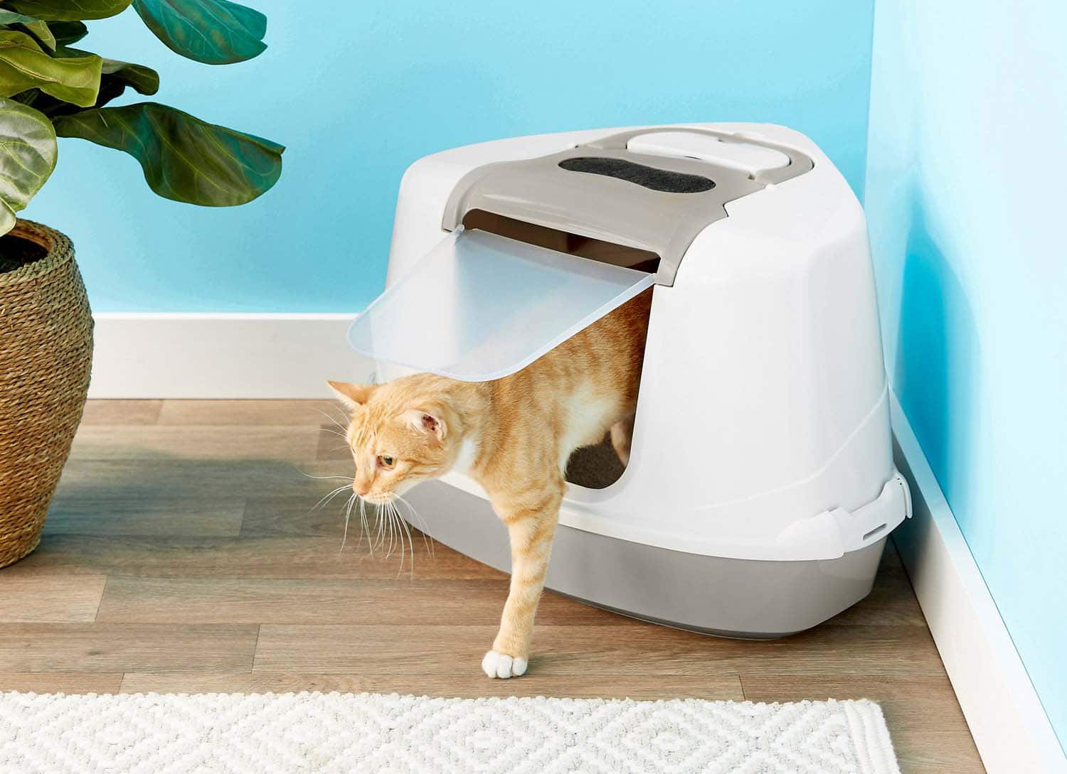 Cat Litter Box