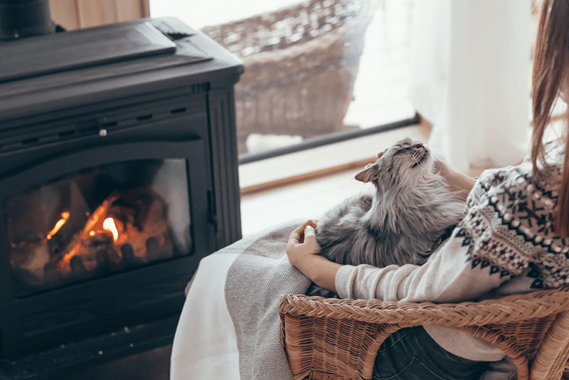 Cat Owner Fireplace