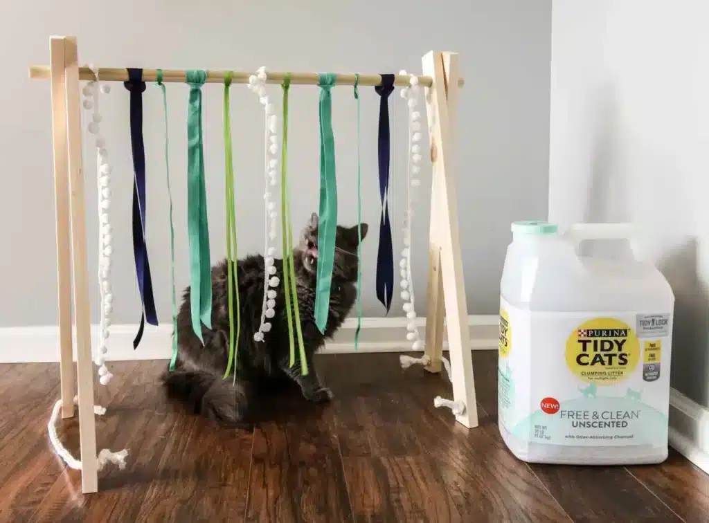 Cat Play Gym by Charleston Crafted