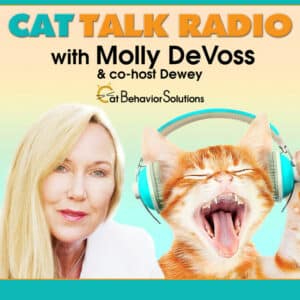 Cat Talk Radio Podcast