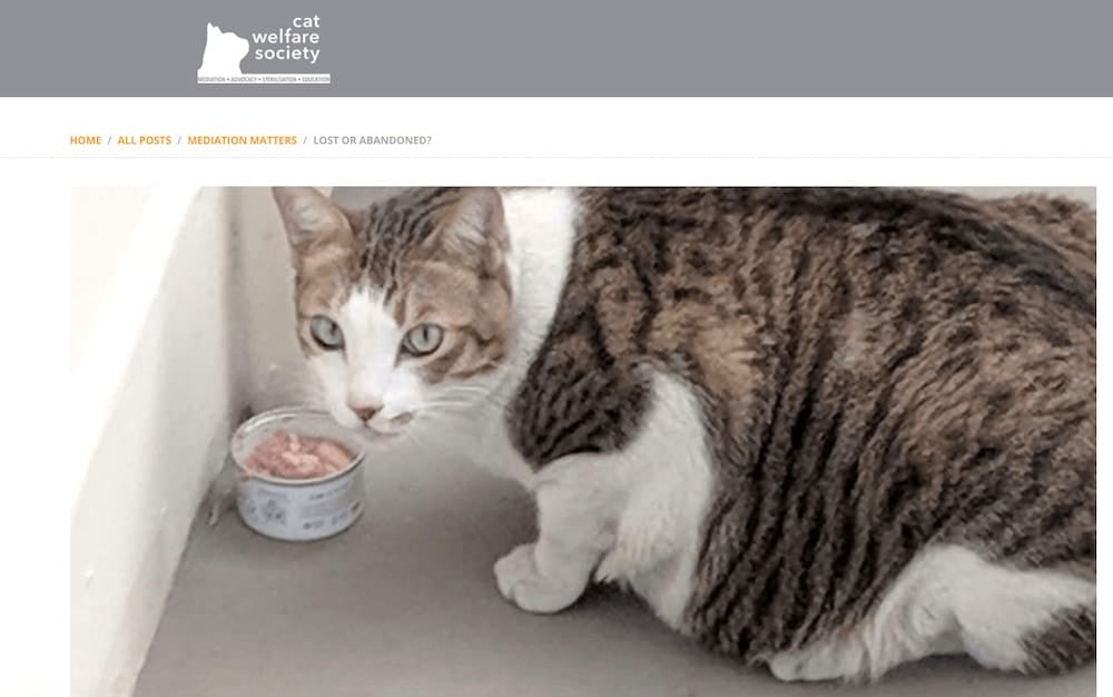 Cat Welfare Society blog