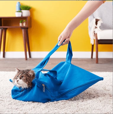 Cat-in-the-bag