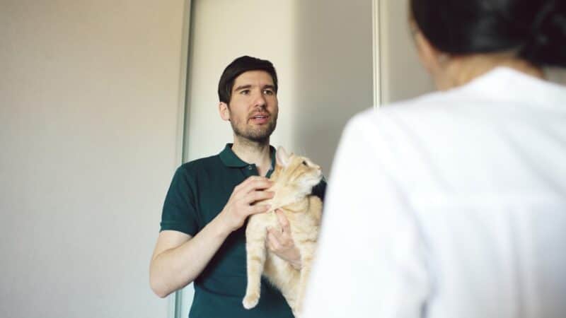 cat owner man talking to veterinarian