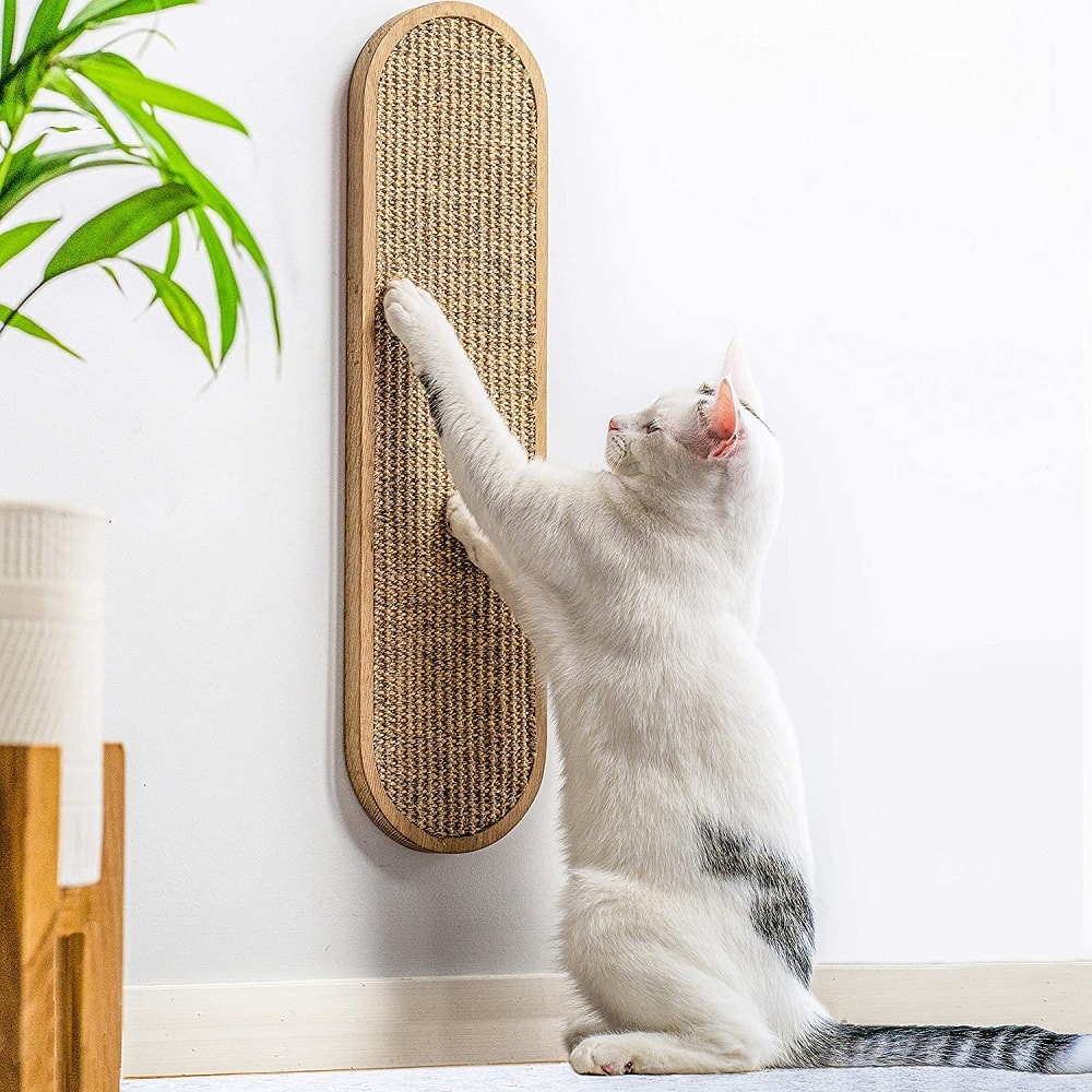 Cat scratching Board