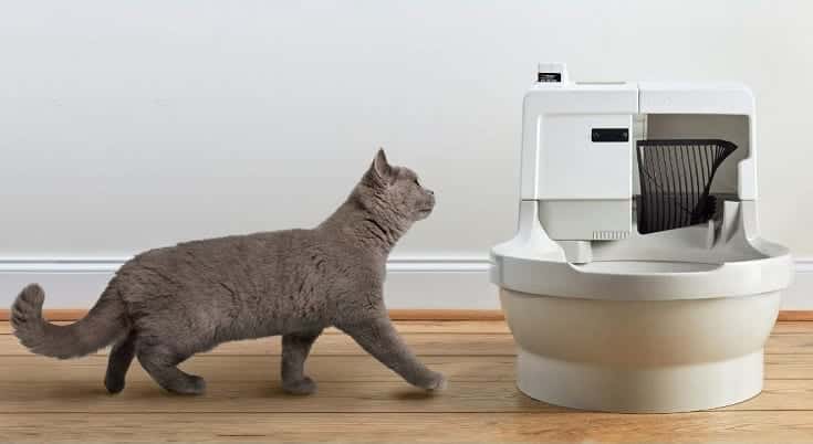 CatGenie A.I. Self-Washing Cat Box - Latest Model