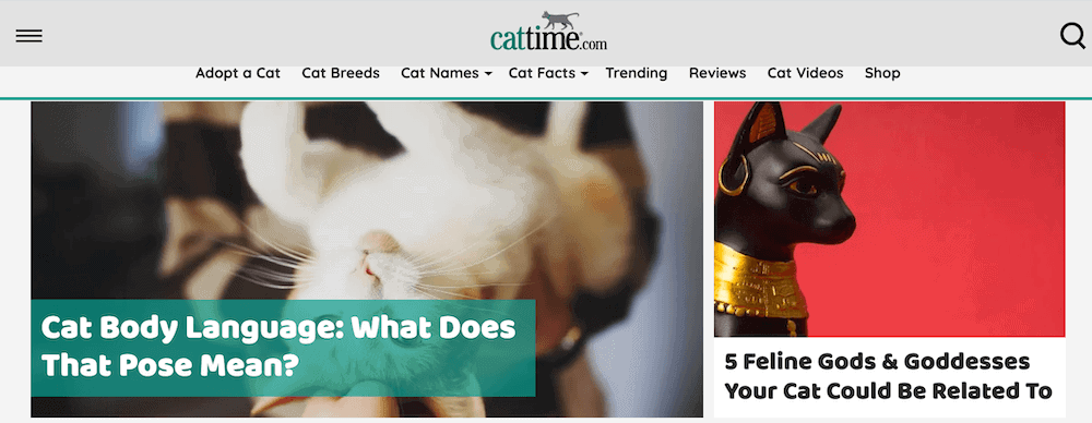 CatTime blog
