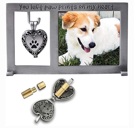 Cathedral Art Pet Memorial Frame with Ashes Locket
