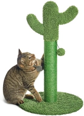 Catinsider Cactus Cat Scratching Post