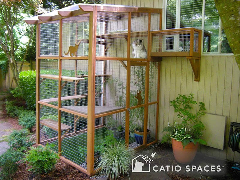 Catios_DIY_Catio_Plans_and_Catio_Design_Ideas