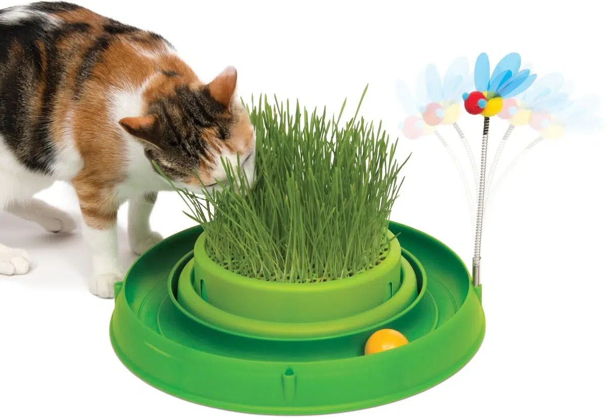 The 5 Best Interactive Cat Toys for Bored Cats In 2024 