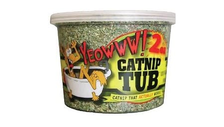 Catnip