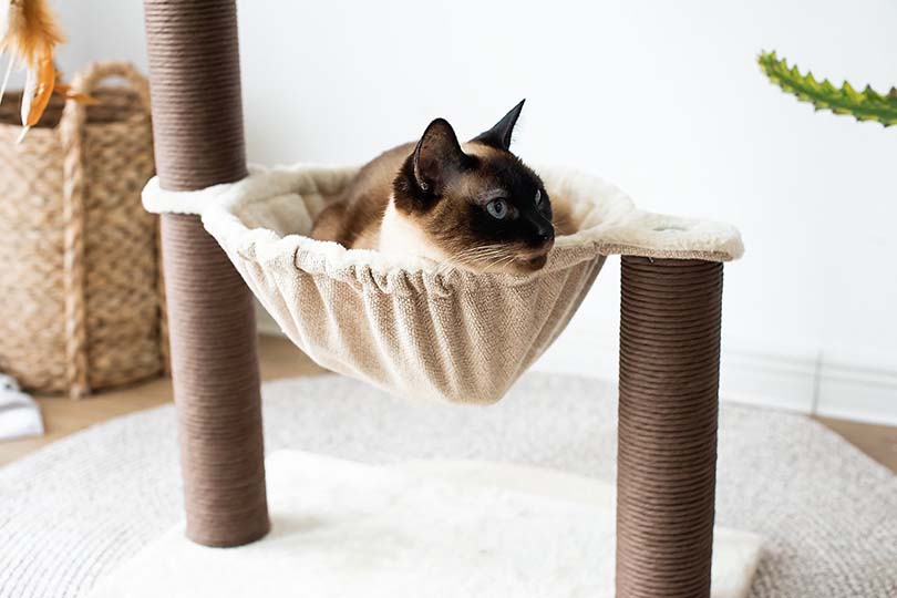 Catry Sisal Cat Tree