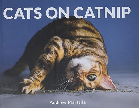 Cats on Catnip Coffee Table Book