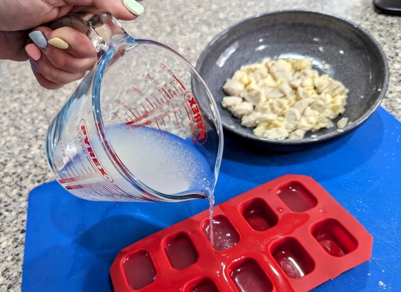 Chicken Broth Popsicles