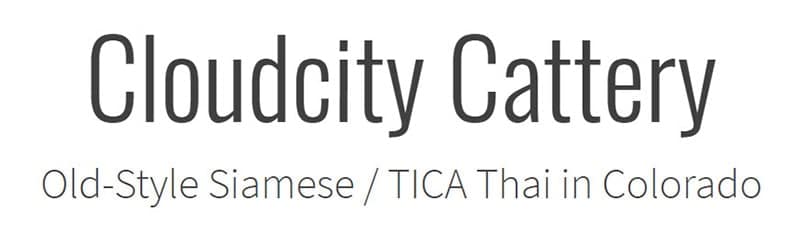 Cloudcity Cattery logo