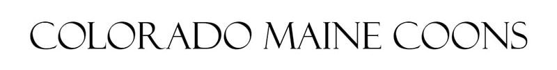 Colorado Maine Coons logo