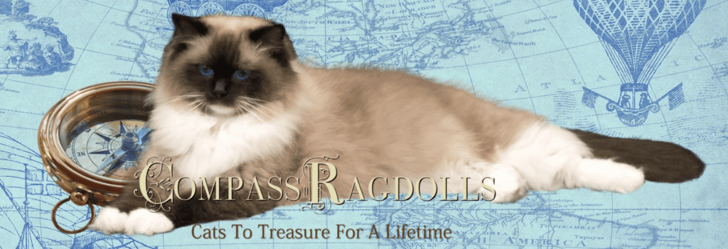 Compass Ragdolls