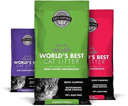 Corn Cat Litter-World's Best-Amazon