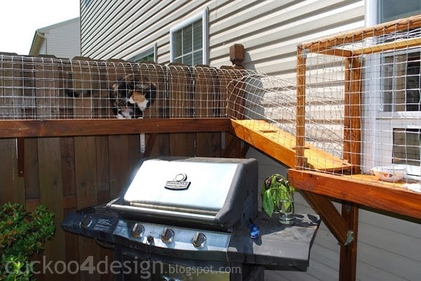 Cuckoo 4 Design Easy DIY Cat Enclosure
