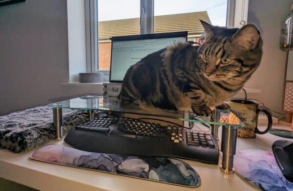 Cyril on his keyboard platform