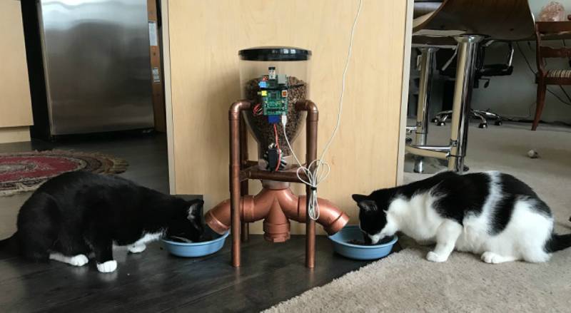 DIY AUTOMATIC CAT FEEDER USING THE RASPBERRY PI