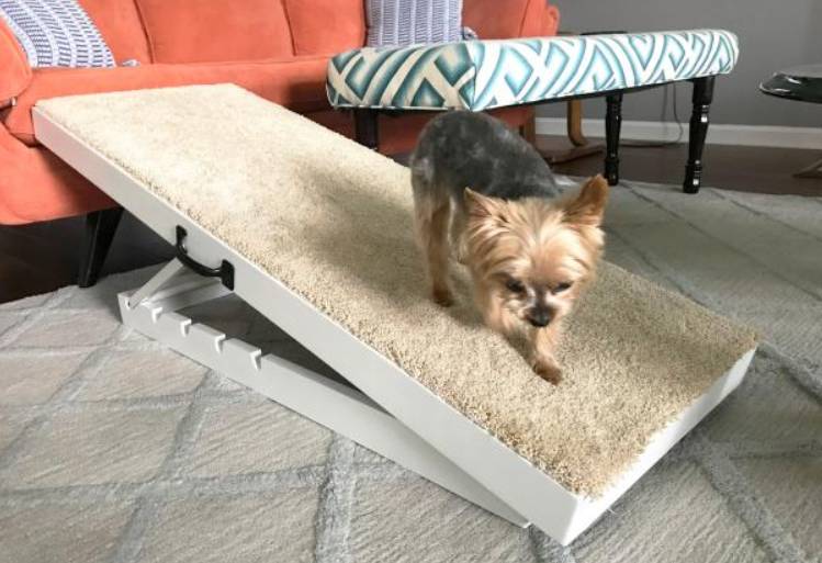 DIY Adjustable Dog Ramp