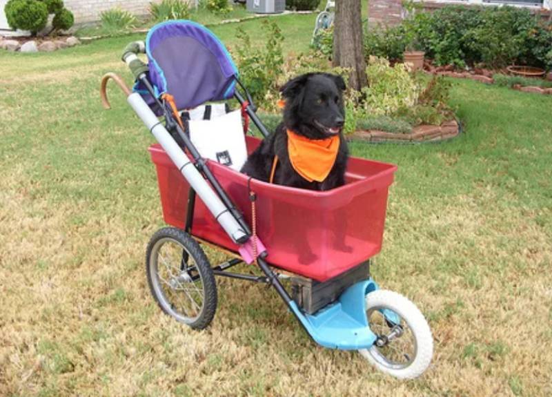 DIY Awesome Dog Stroller Made From a Used Jogging Stroller