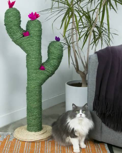 DIY Cactus Post Gives Your Cat A Stylish Place To Scratch