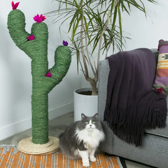 DIY Cactus Scratching Post by Nifty