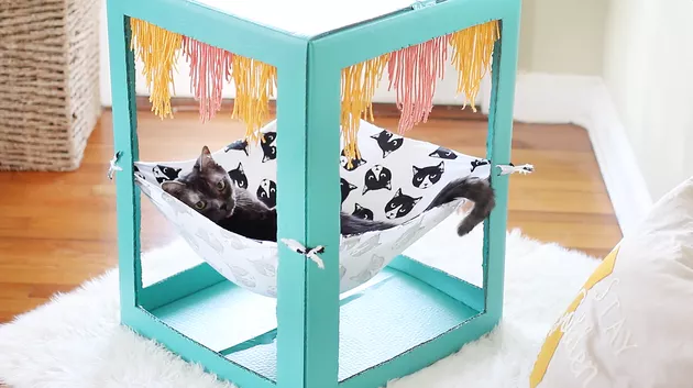 DIY Cardboard Box Kitty Hammock