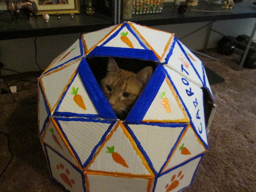 DIY Cardboard Cat Cave