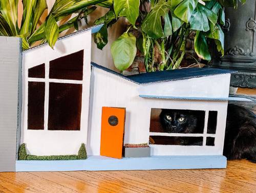 DIY Cardboard Cat House