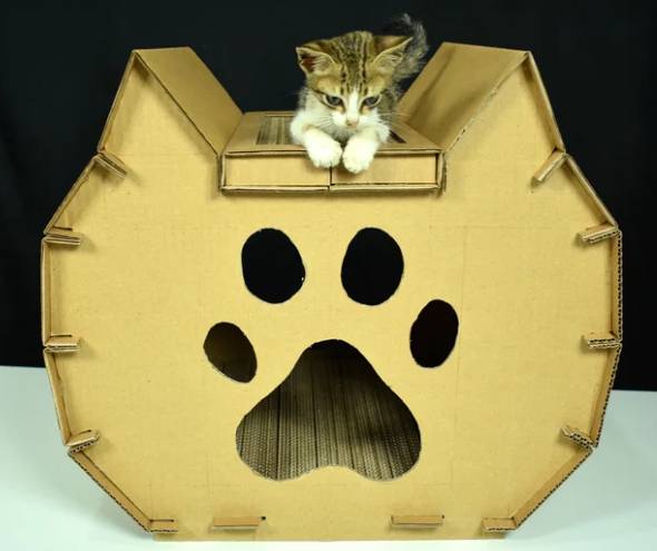 DIY Cardboard Cat House With Scratcher