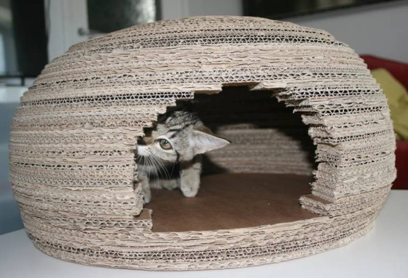 DIY Cardboard Cat Igloo House