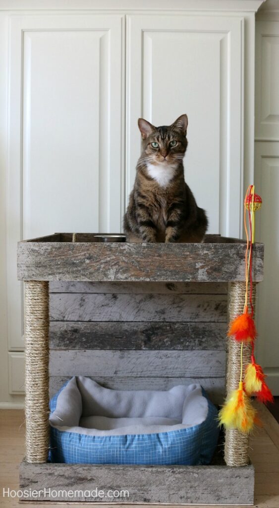 DIY Cat Condo from a Wood Pallet