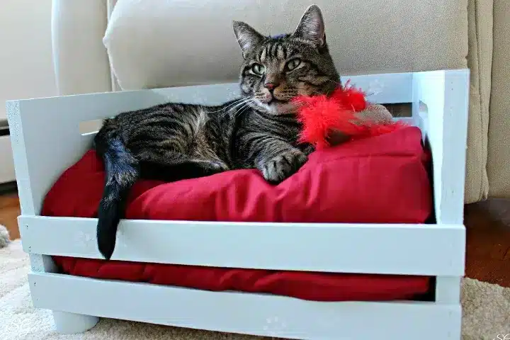 DIY Cat Crate Birthing Box by hometalk