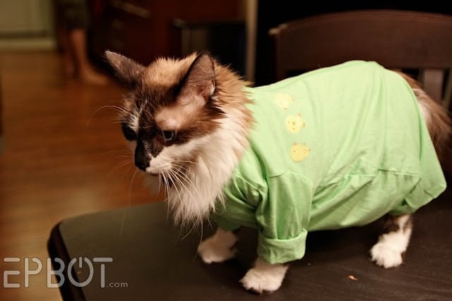 DIY Cat Onesie