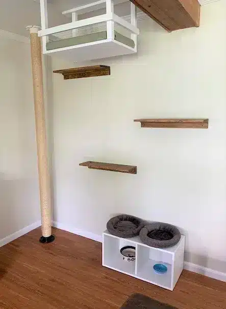 DIY Cat Staircase Shelves