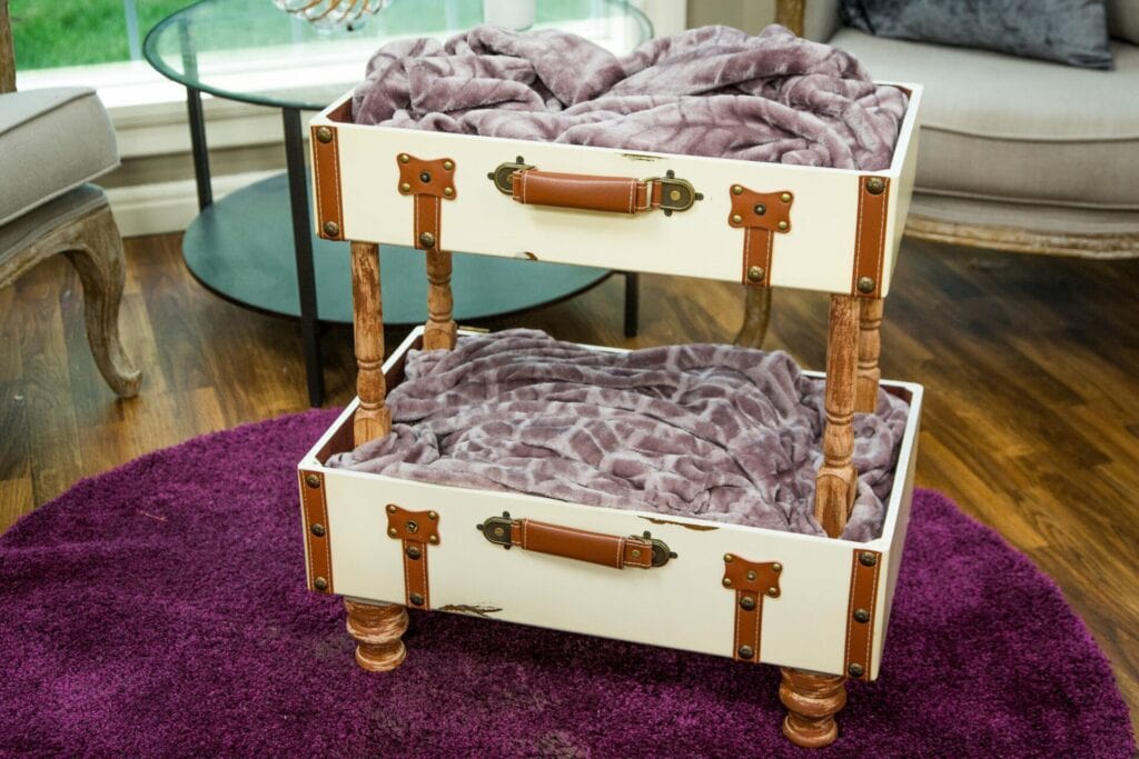 DIY Cat Suitcase Bunkbed by Hallmark